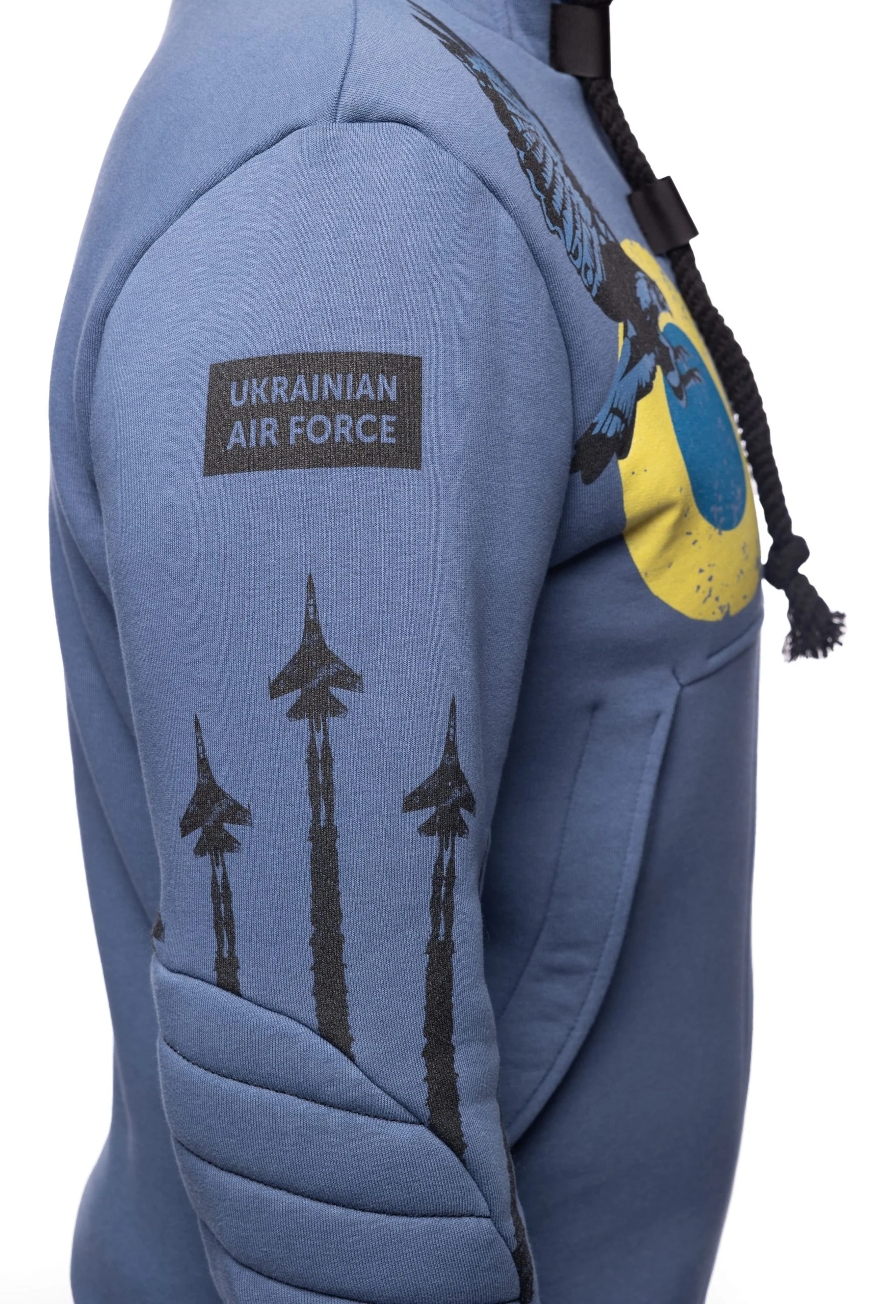 Чоловіче худі UKRAINIAN FALCONS купити онлайн Авіація Галичини
