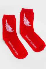 Socks Wings. .