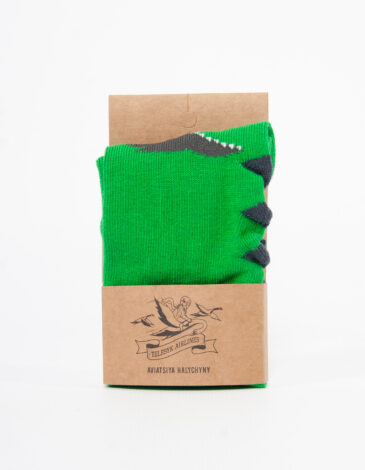 Kids Socks Dragon. Color green. .