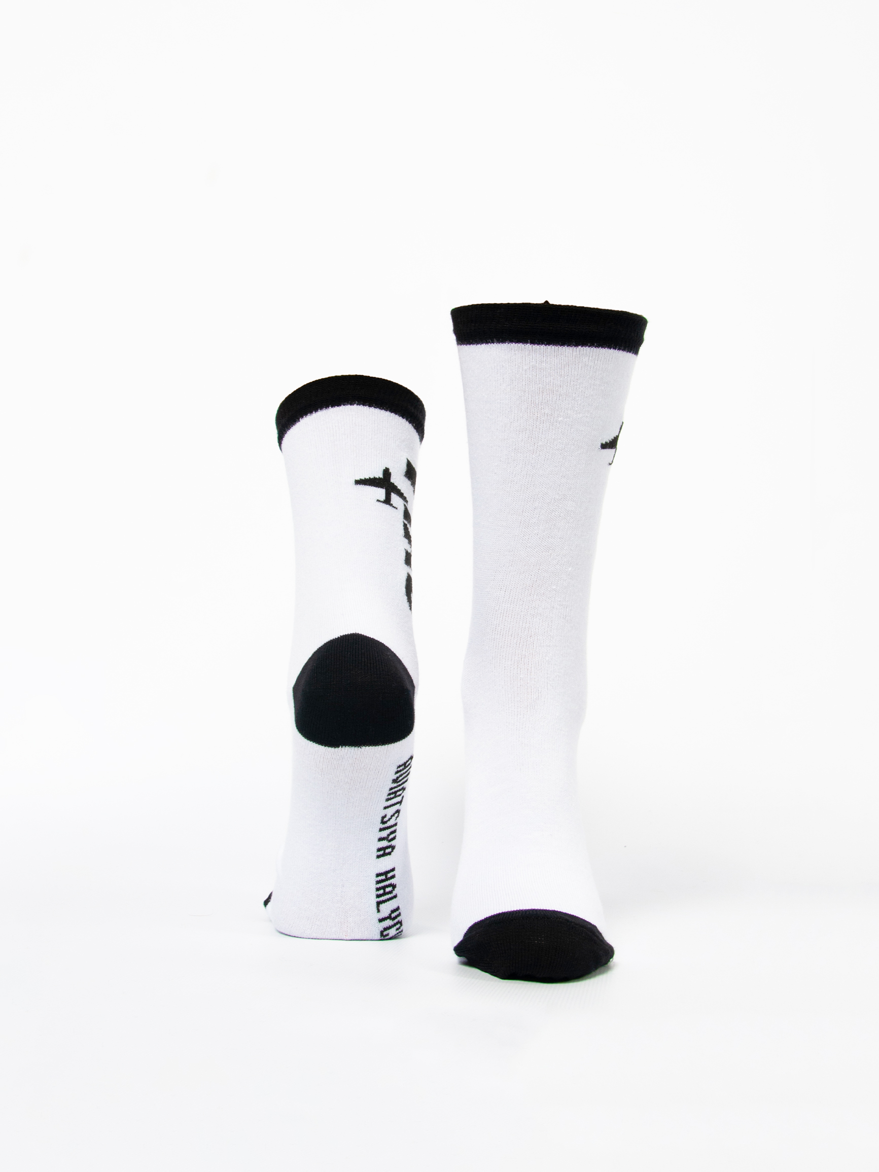 Шкарпетки Syla. Color white. 95% бавовна, 5% еластан.