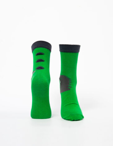 Kids Socks Dragon. Color green. .