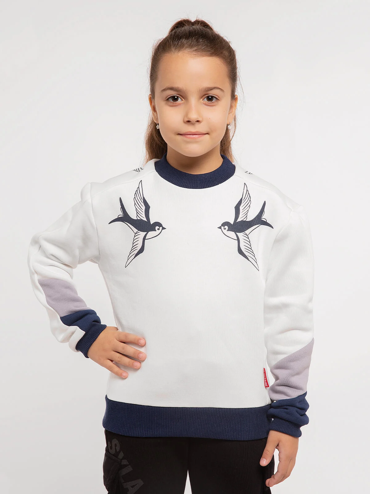 Kids sweatshirt SWALLOW buy online Aviatsiya Halychyny Delivery across Ukraine and worldwide