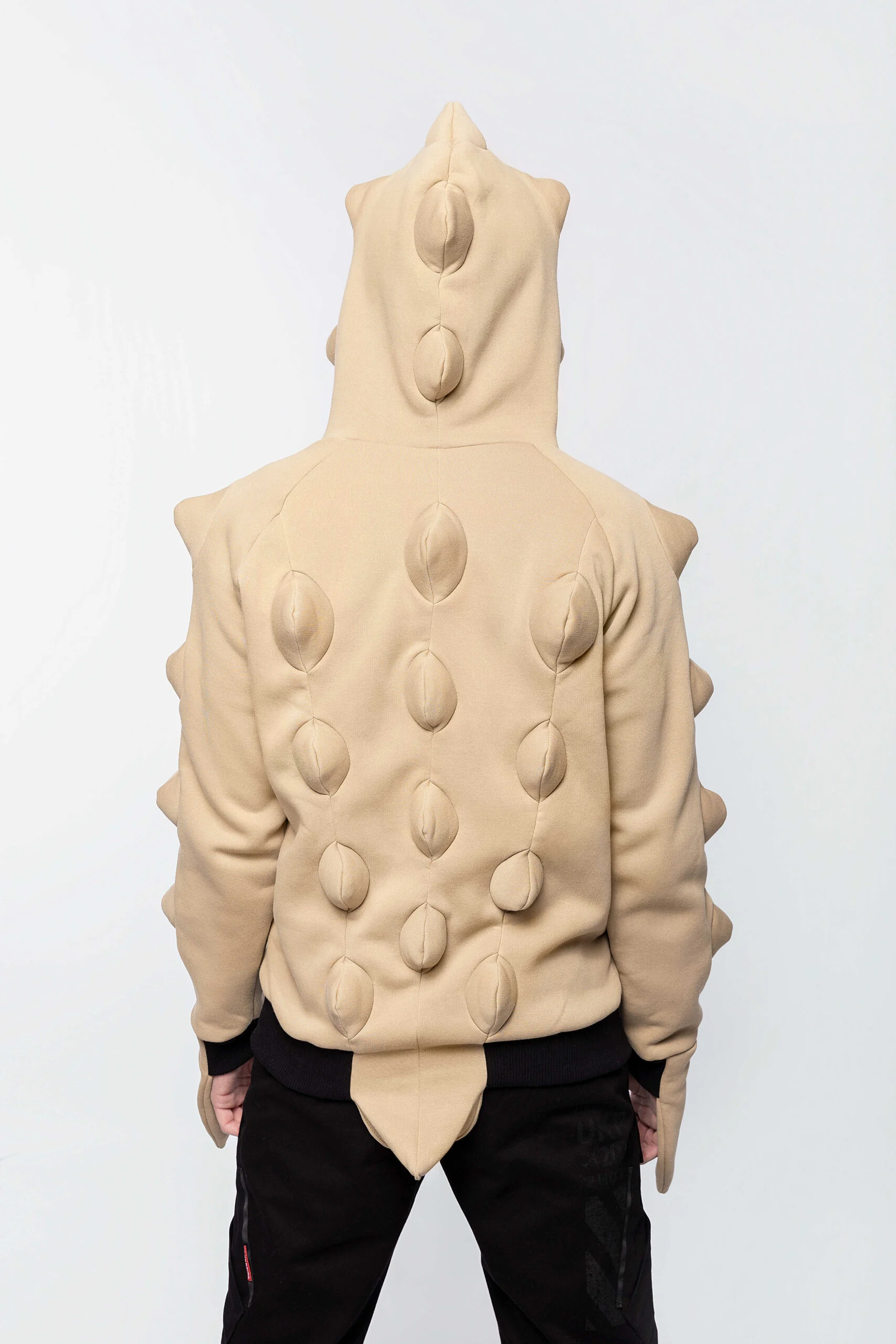 Stegosaurus hoodie clearance