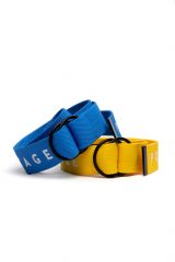 Belt Yellowblue. .