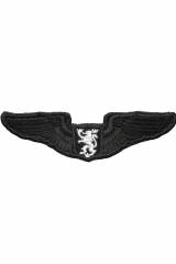 Chevron Wings. .